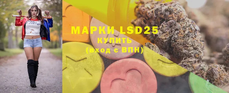 omg ССЫЛКА  где продают   Новодвинск  darknet клад  LSD-25 экстази ecstasy 